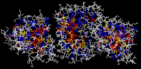  protein as lines colored by conservation score